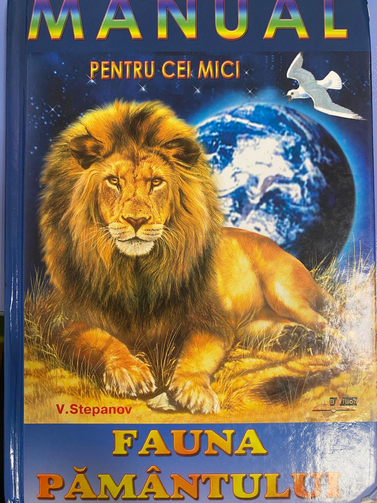 Magia fulgilor de nea - 10 povești magicecu animăluțe