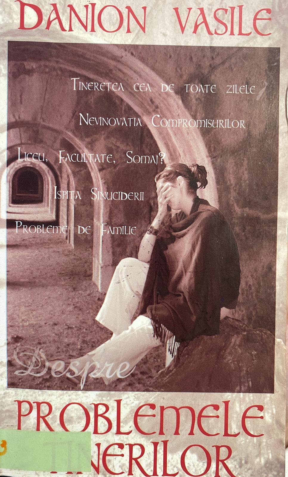 Despre problemele tinerilor