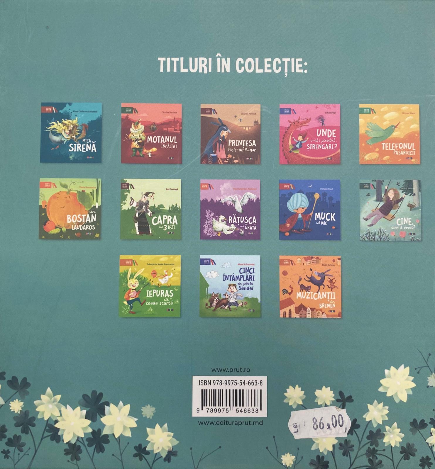 Broasca fermecată — verso