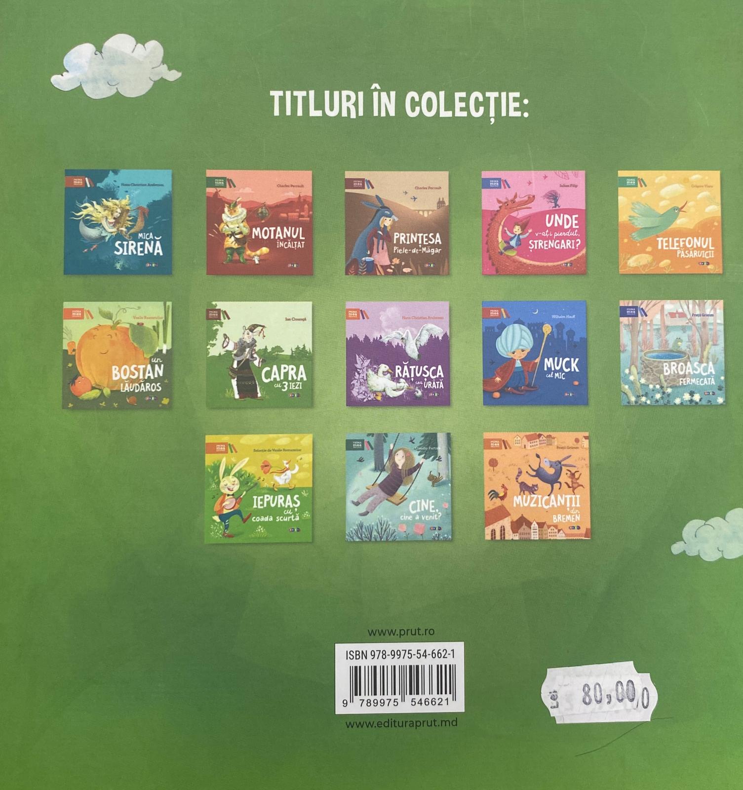 Cinci Întâmplări din viața lui Sandel  — verso