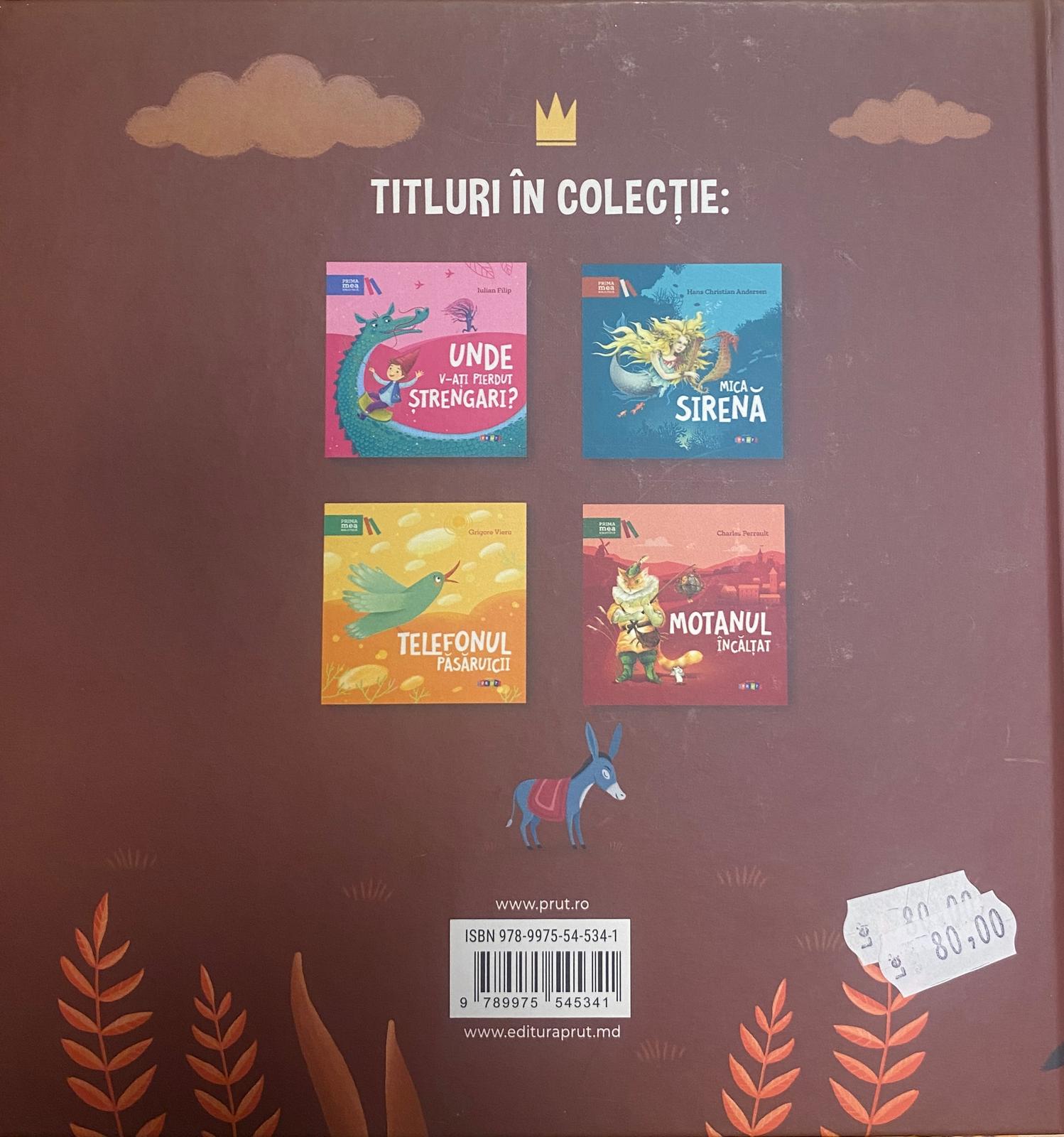 Prințesa piele-de-măgar — verso